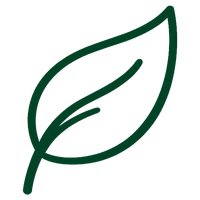 Leaf icon