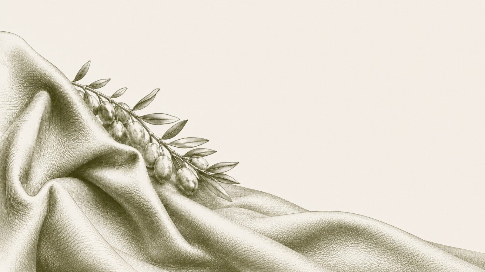 An engraving of softly draped Oleatex leather with an olive branch