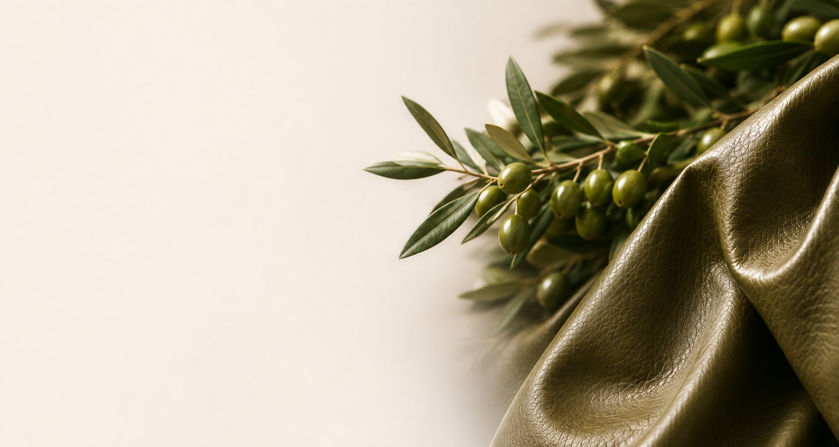 An olive branch with fresh green olives resting on a fold of grained olive-green Oleatex leather, against a soft cream backdrop